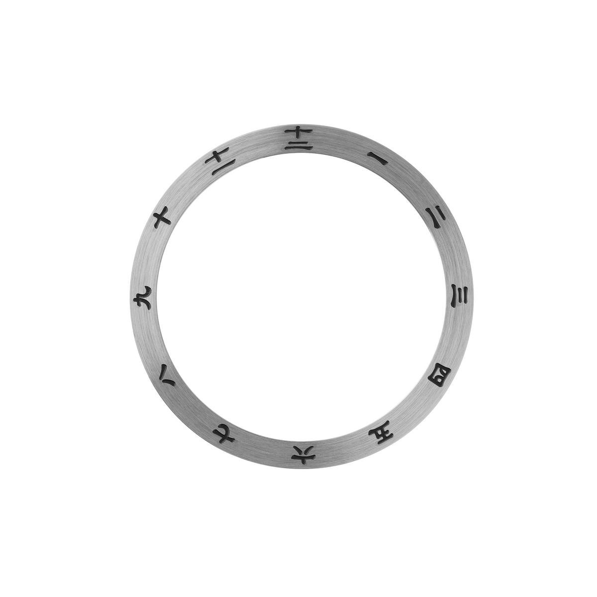 20108_SKX00SRPDSteelBezelInser